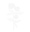 Image to render