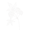 Image to render