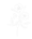 Image to render