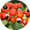 Image to render
