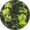 Image to render