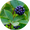 Image to render