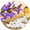 Image to render