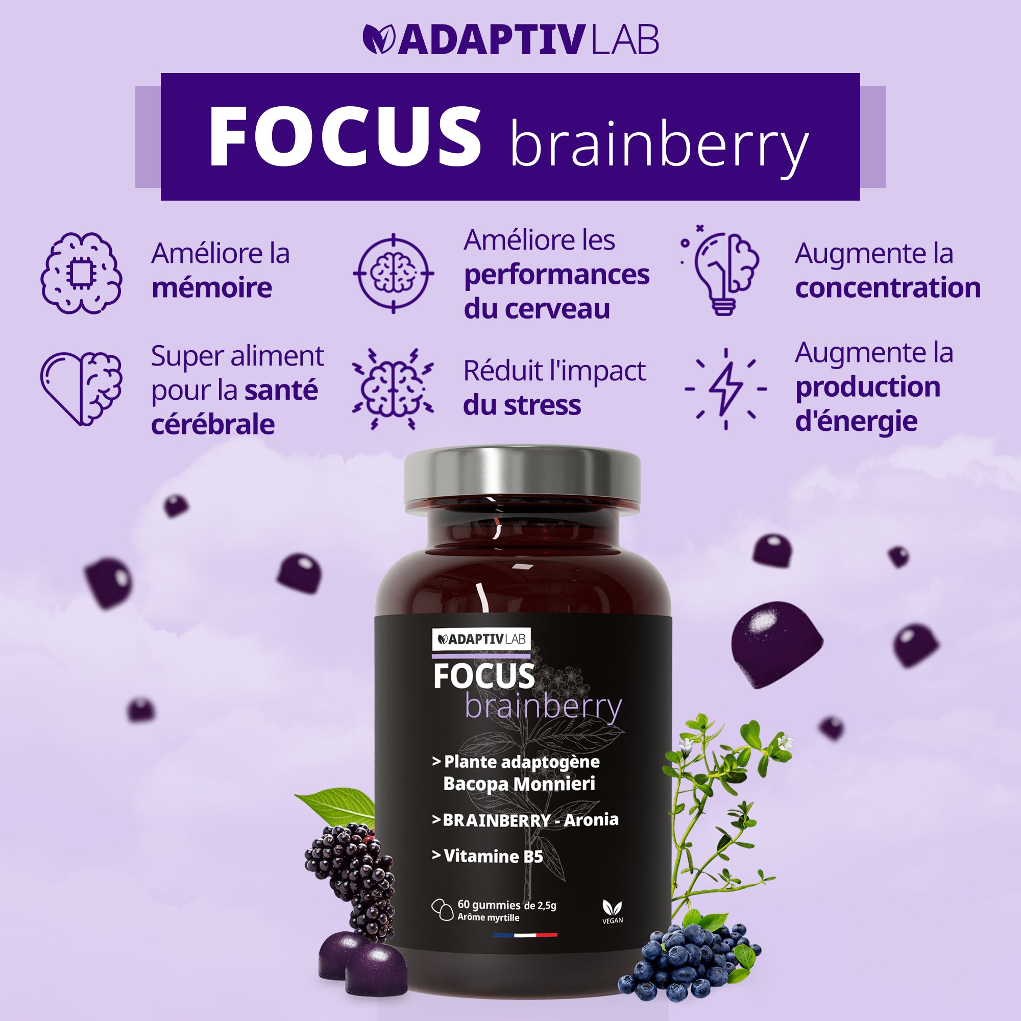 FOCUS Brainberry®