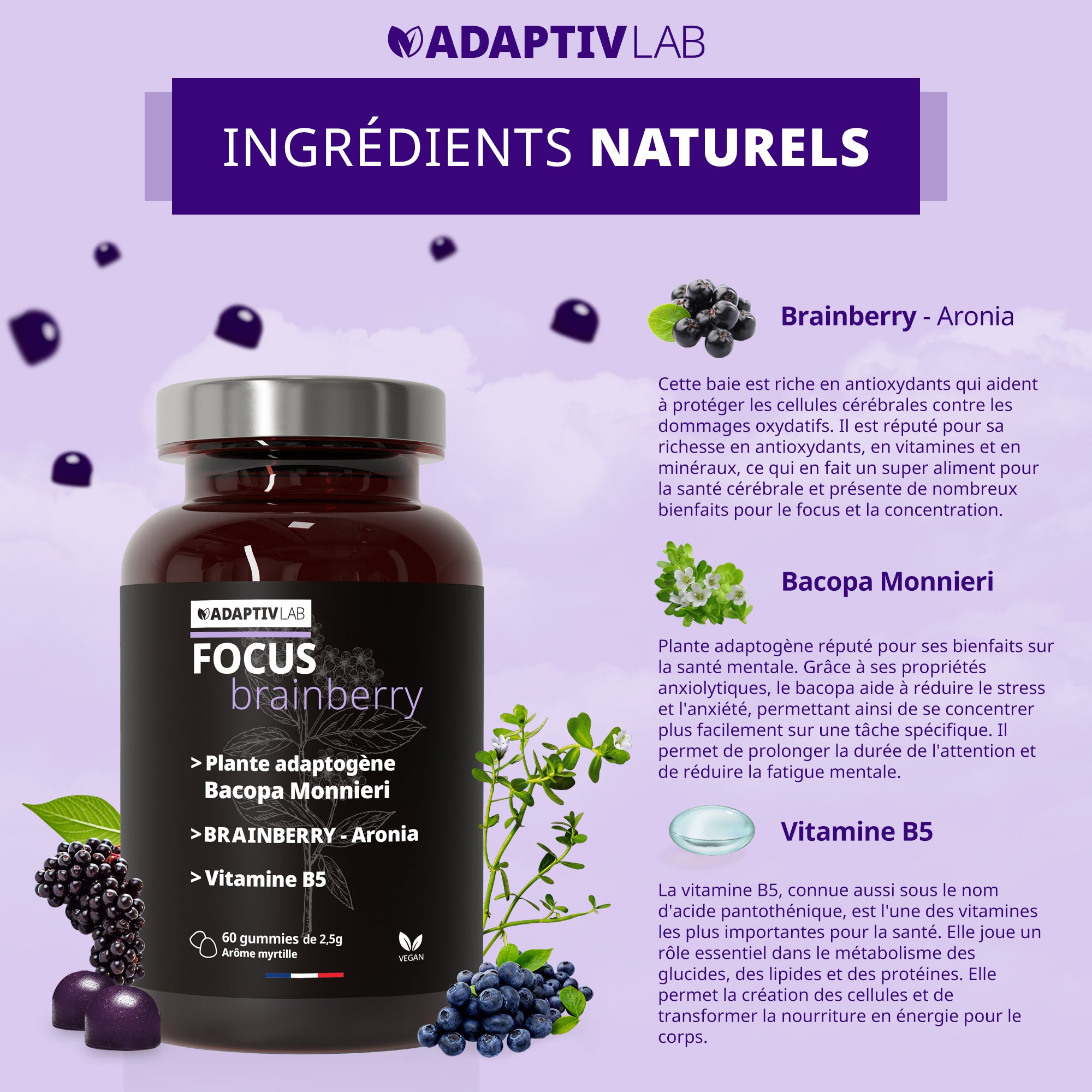 FOCUS Brainberry®