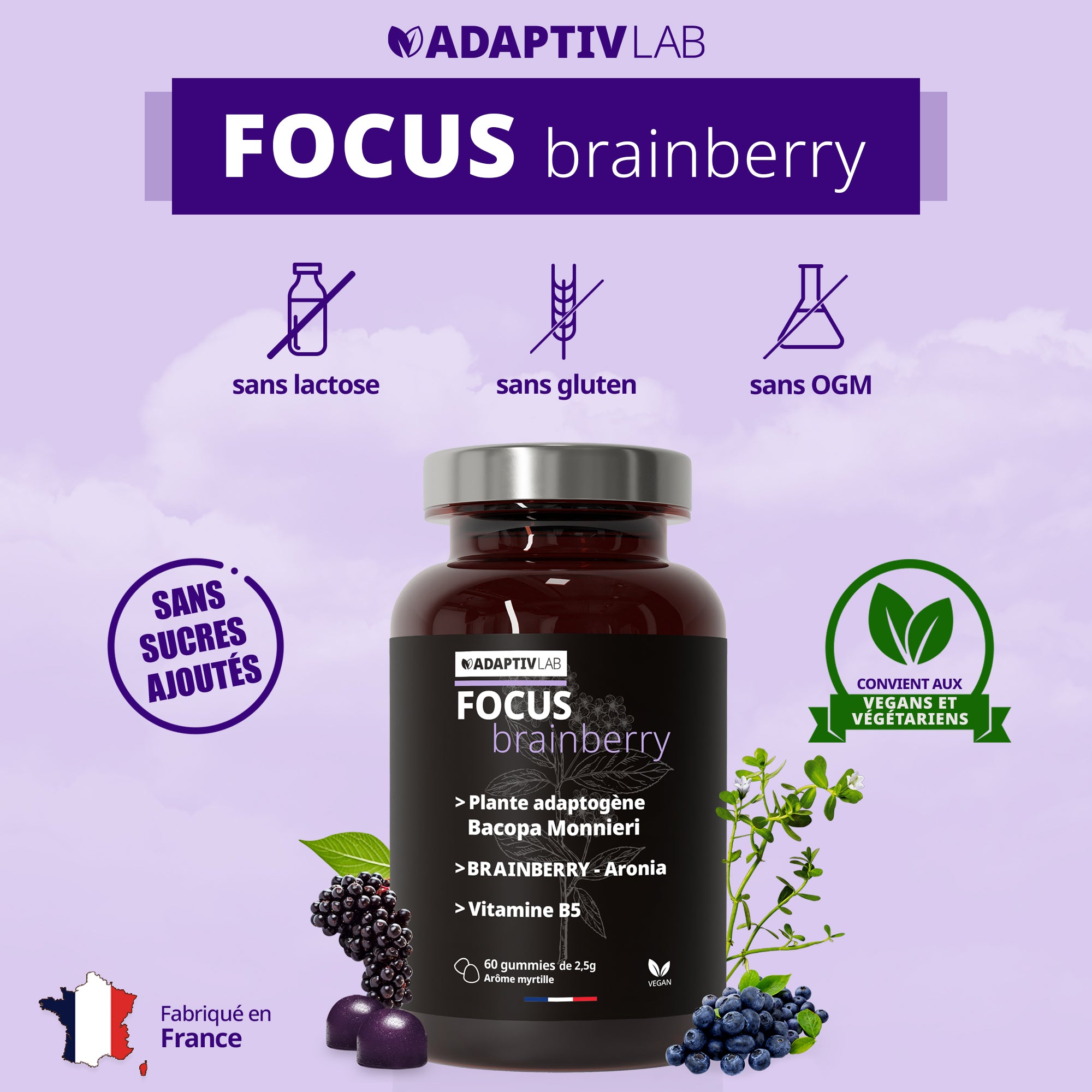 FOCUS Brainberry®
