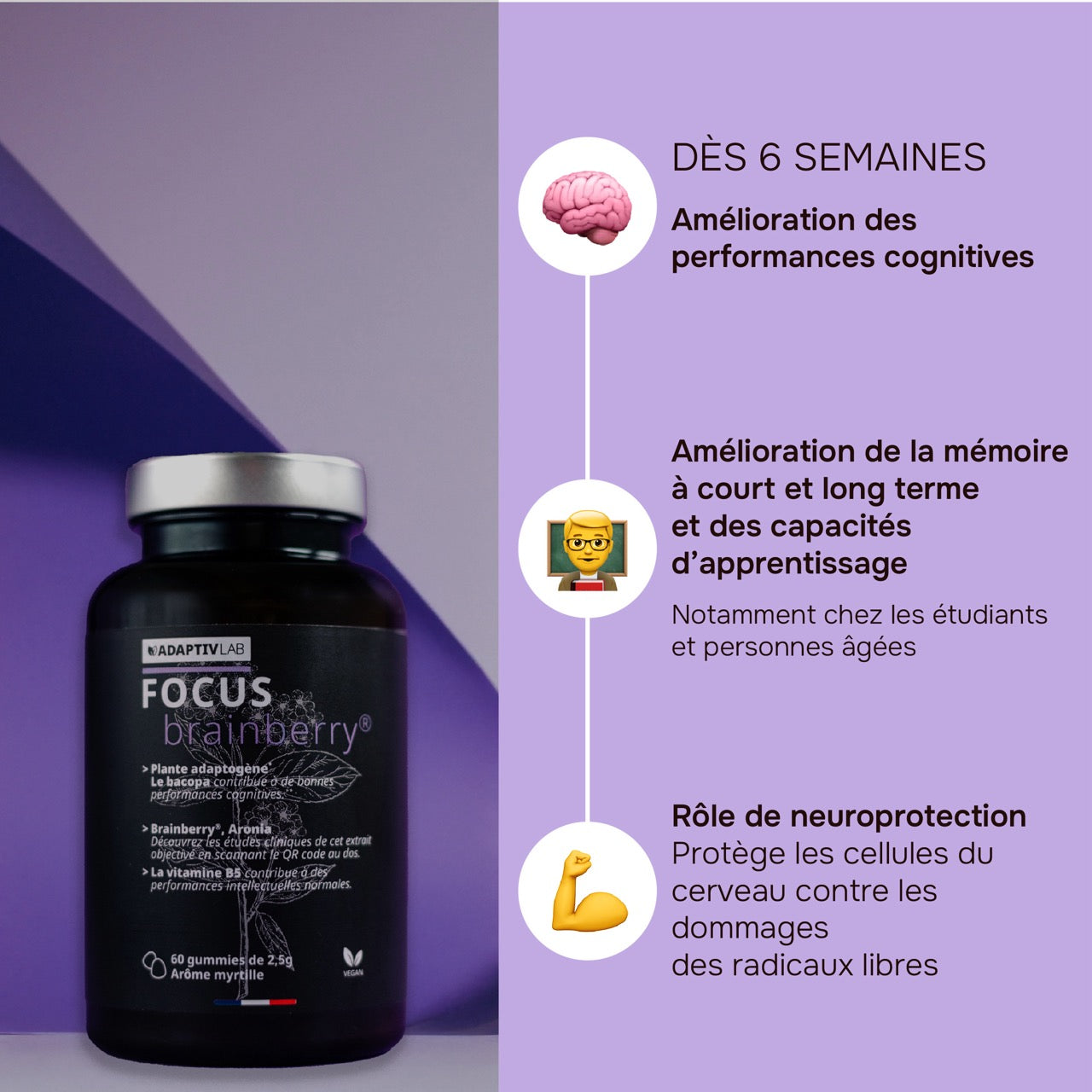 FOCUS Brainberry®