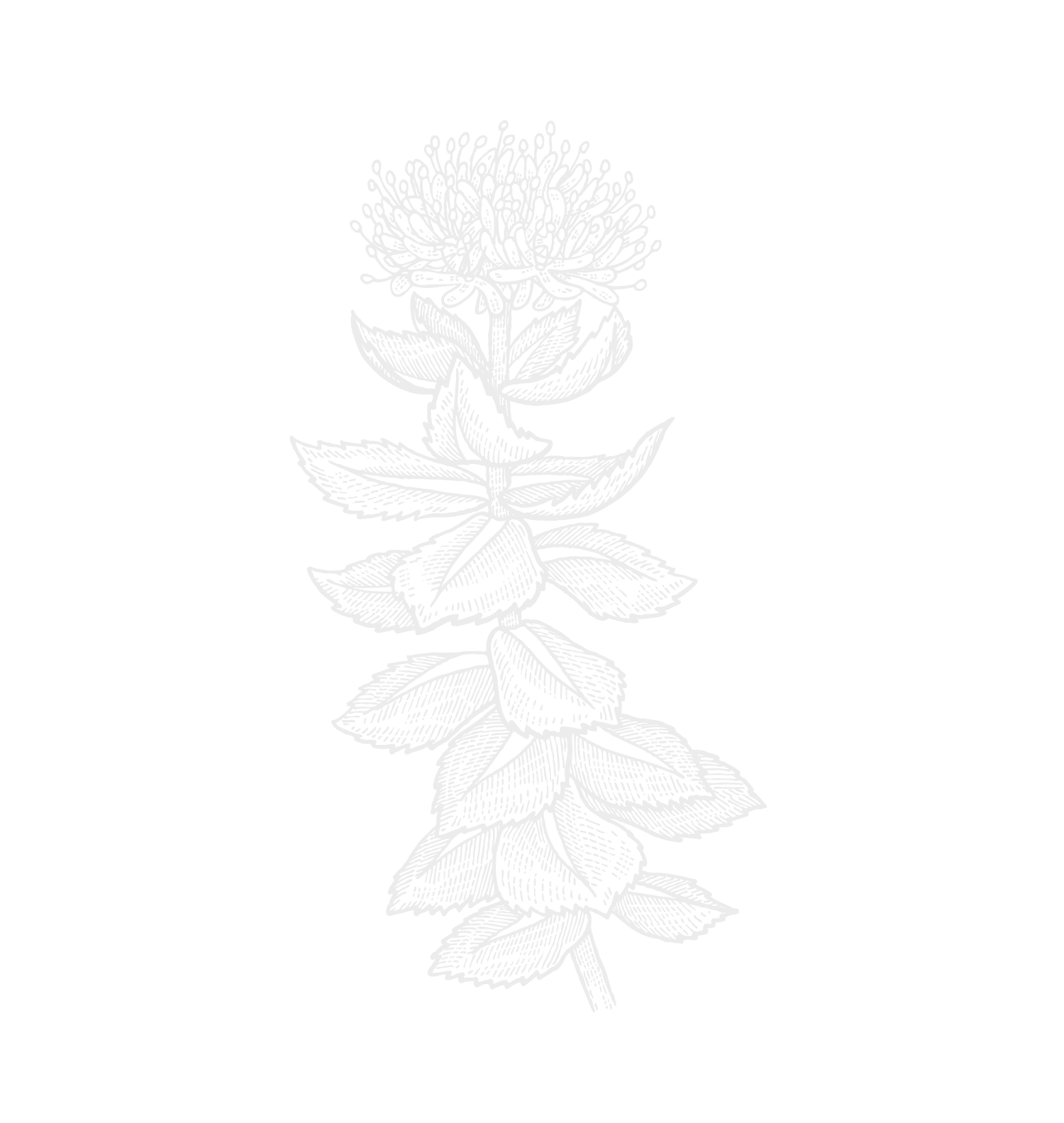Image to render
