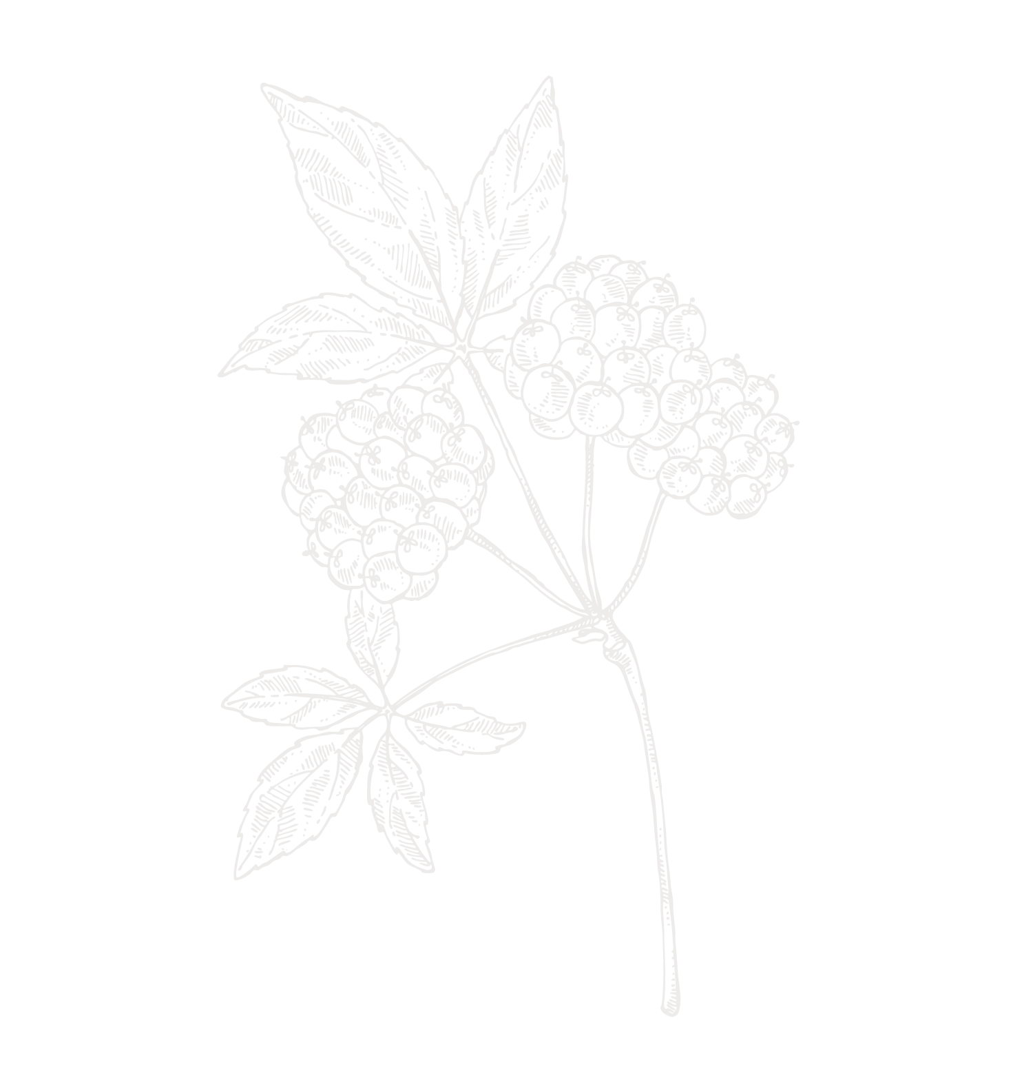 Image to render