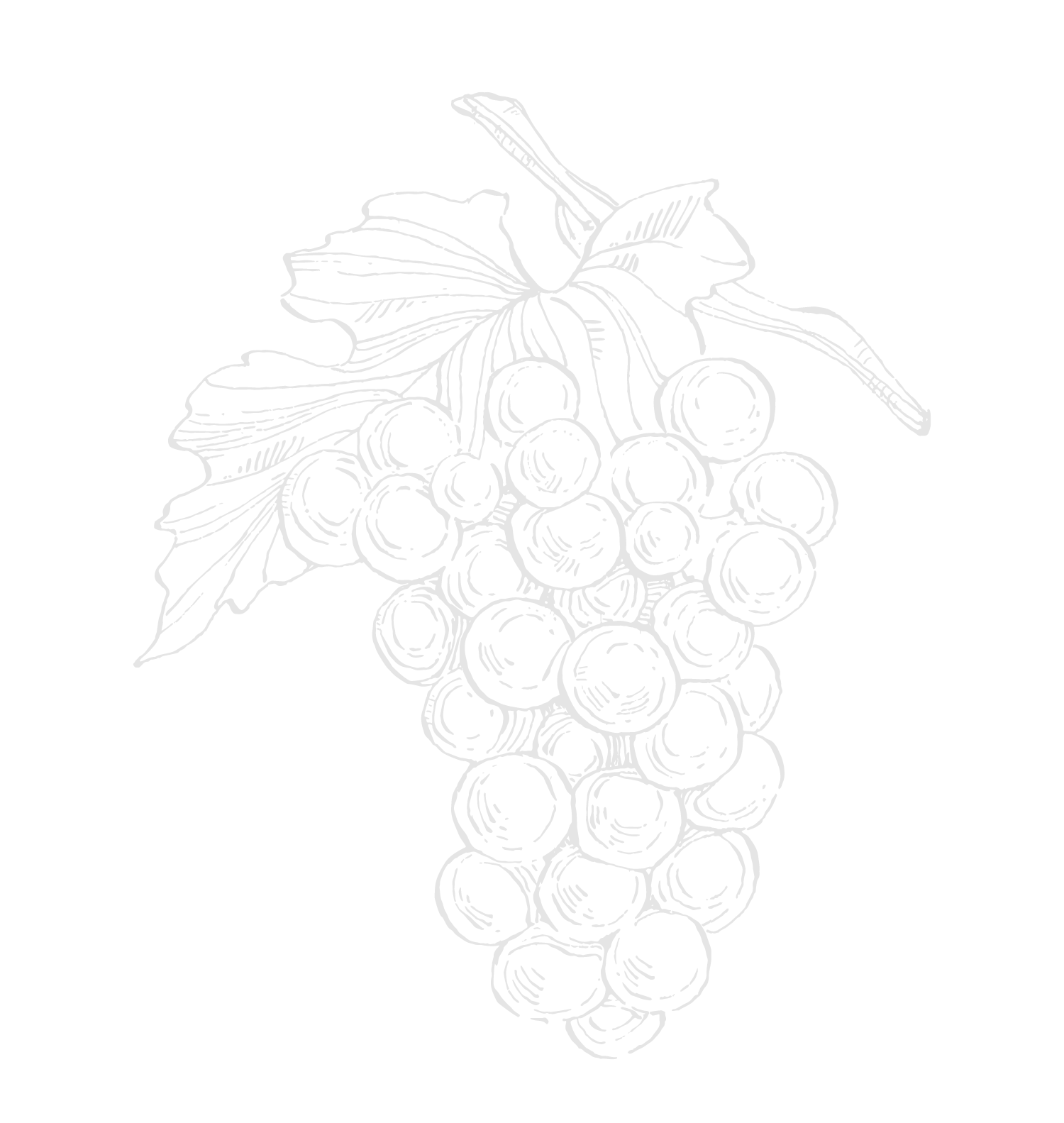 Image to render
